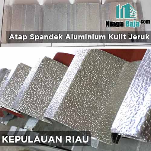 harga seng aluminium kulit jeruk Kepulauan Riau