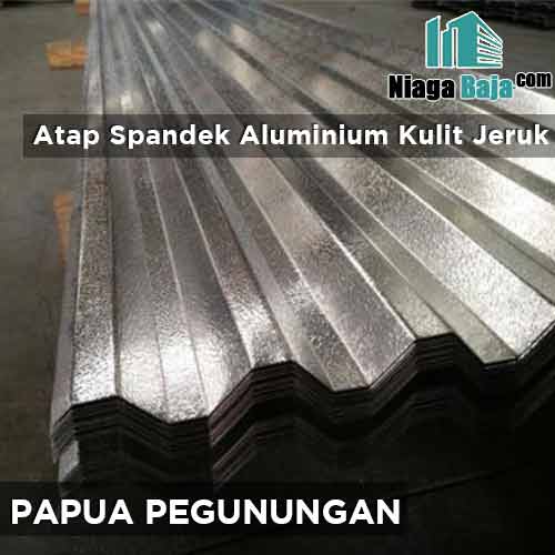 harga seng aluminium kulit jeruk Papua Pegunungan