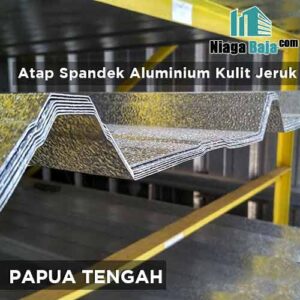 harga seng aluminium kulit jeruk Kepulauan Papua Tengah